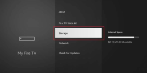 firestick storage